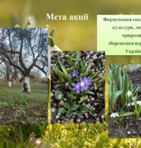 pervotsvit-2026_page-0002