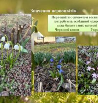 pervotsvit-2026_page-0004