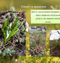 pervotsvit-2026_page-0005