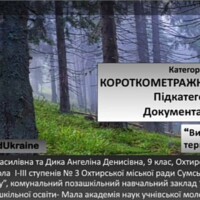 ГУРТОК «ШКОЛА УСПІХУ»